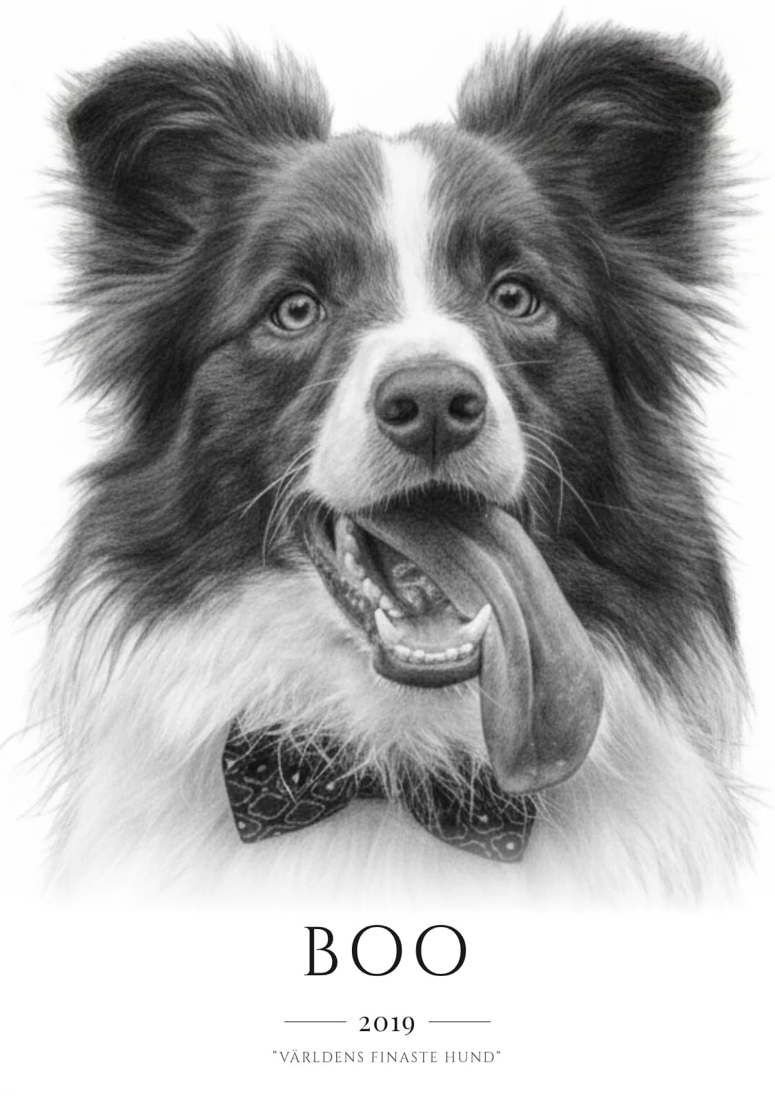 Boo – husdjursposter