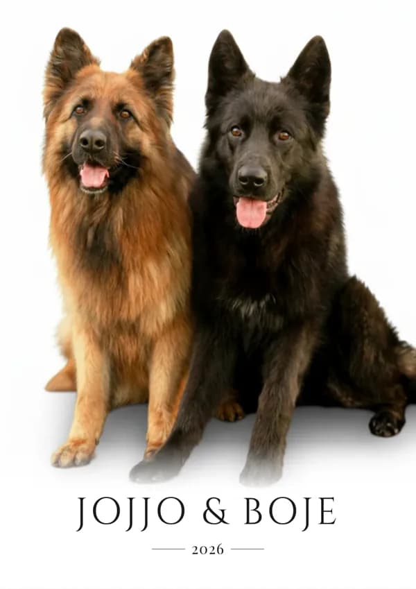 Jojjo & Boje – husdjursporträtt