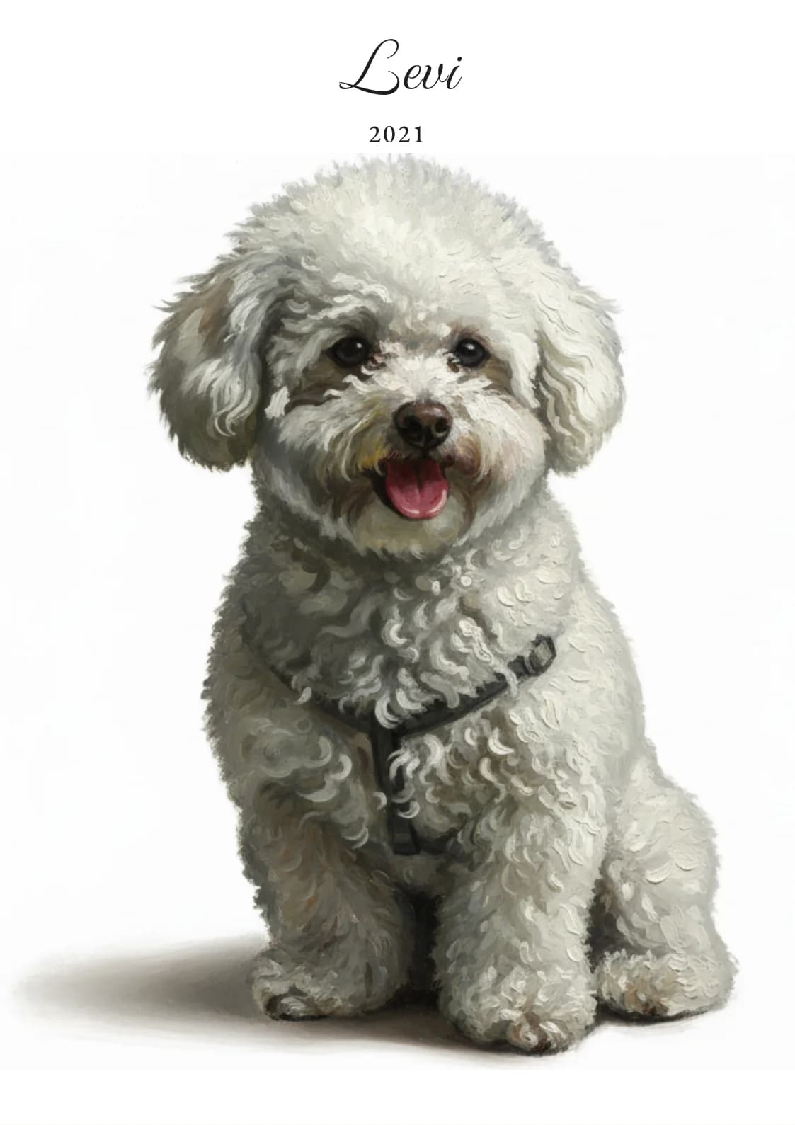 Levi – husdjursporträtt