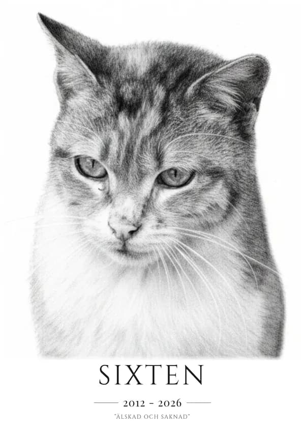 Sixten – husdjursporträtt