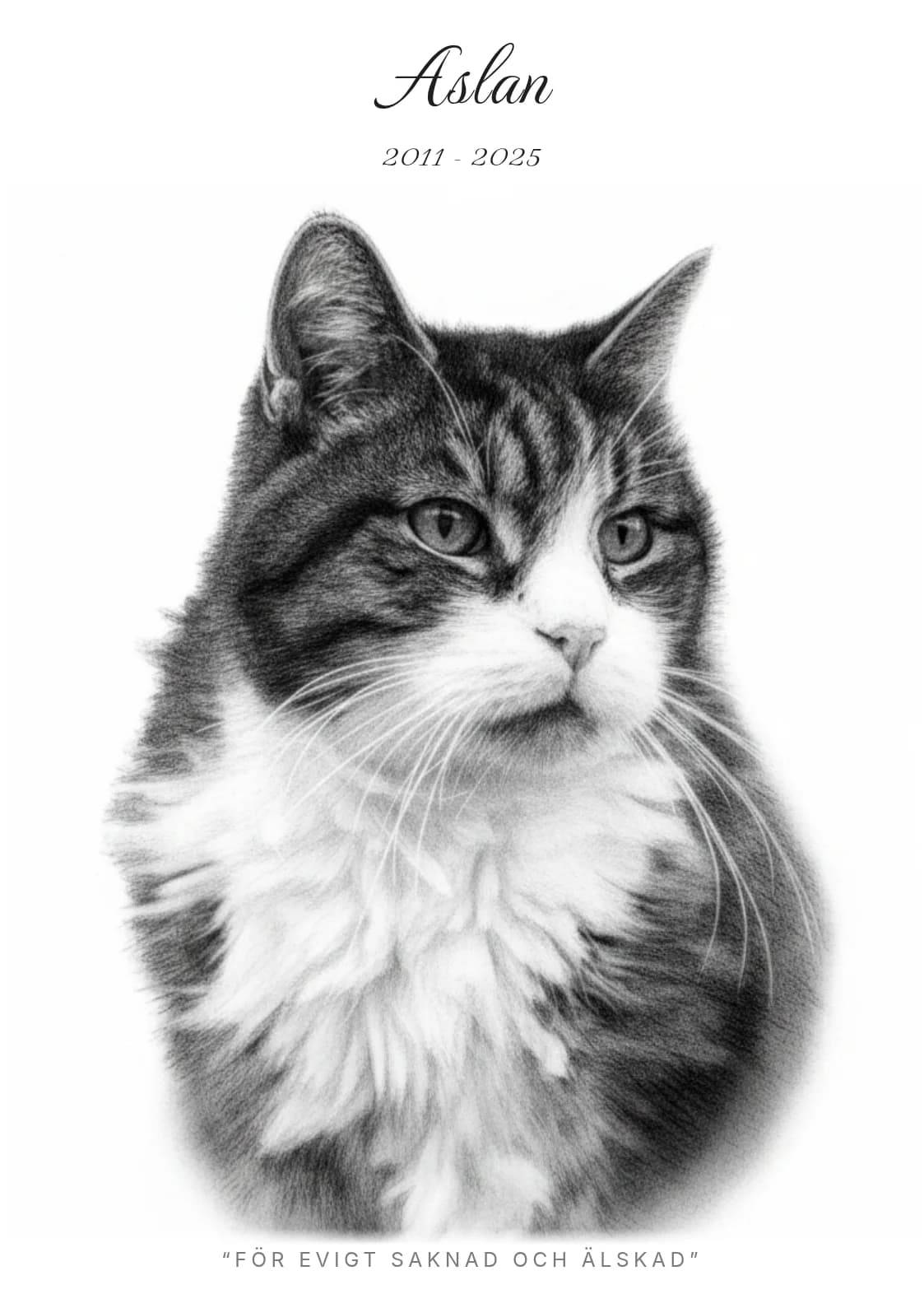 Aslan – husdjursposter