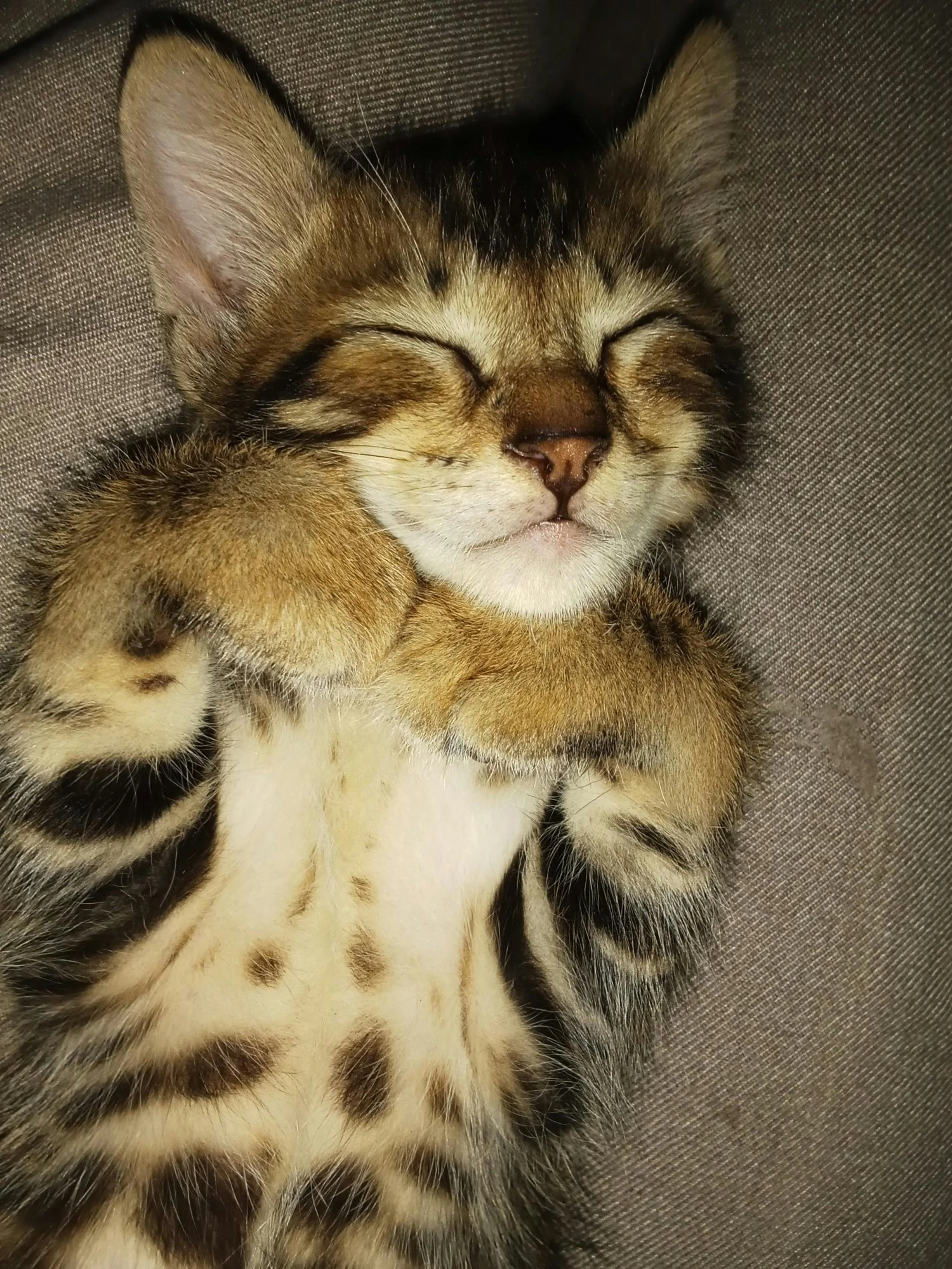 Originalfoto av Doris