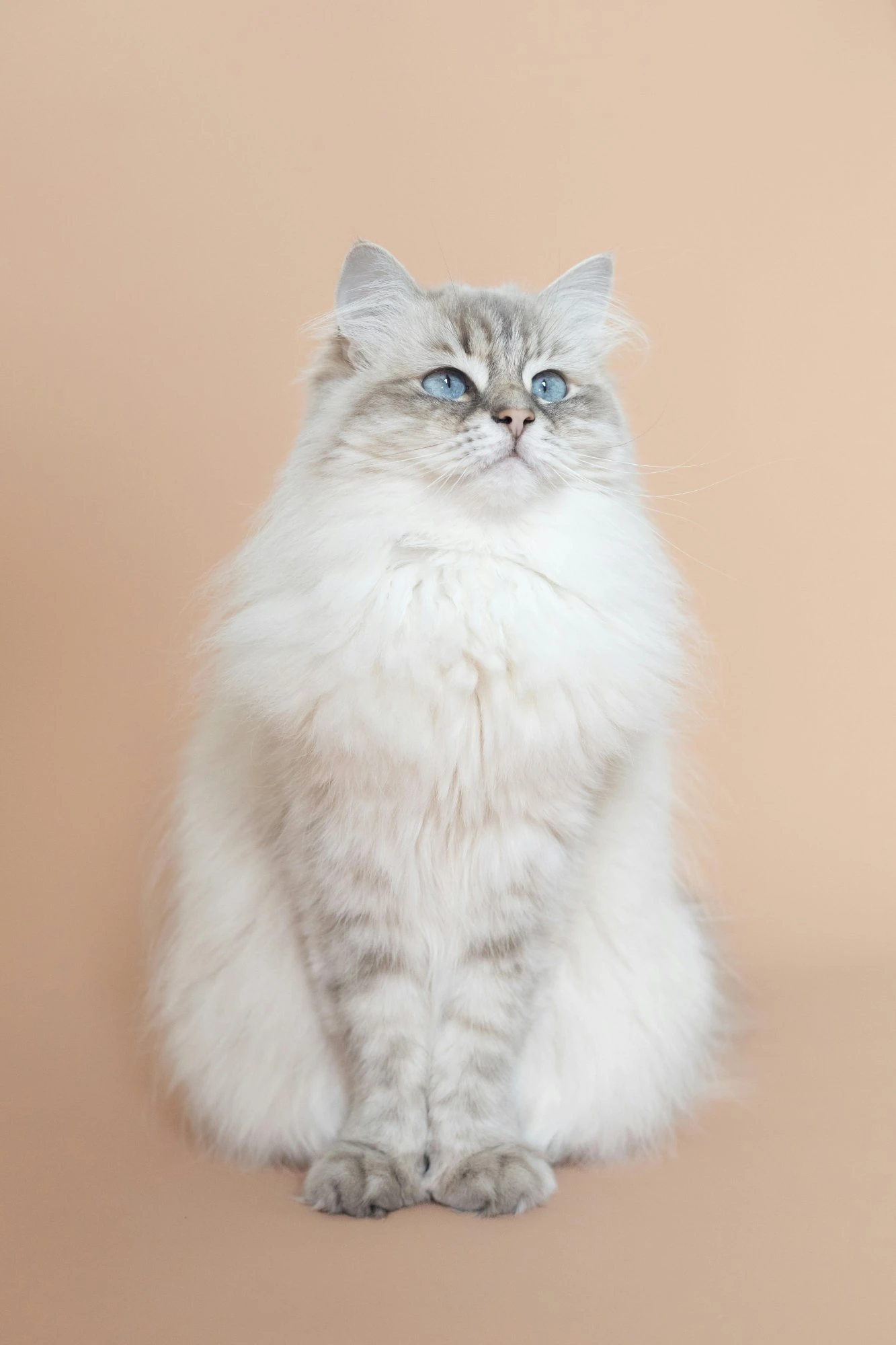 Originalfoto av Lucas