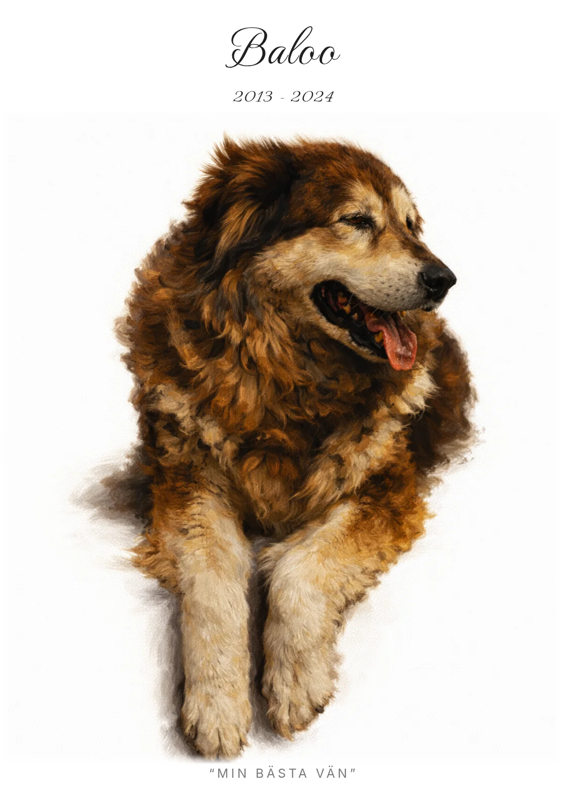 Baloo som poster